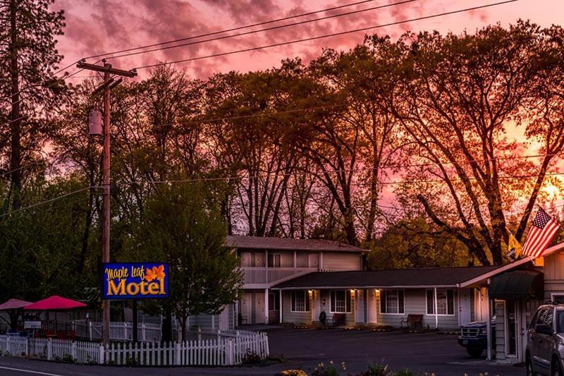 Maple Leaf Motel Шейді-Коув Екстер'єр фото